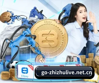 业务扩张 - 用户数量爆发式增长,与多家国际知名内容服务商达成深度合作。
